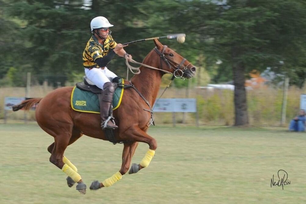 Euro Steel discuss polocrosse 2024